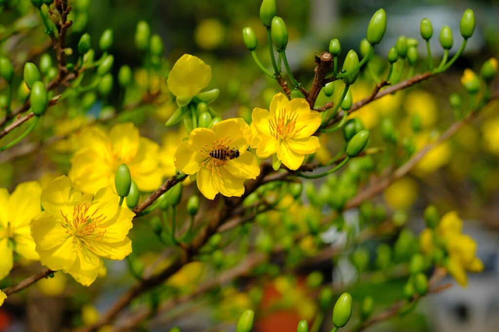 Person sitting alone in muted gray tones staring blankly, symbolizing emotional numbness and loss of pleasure during benzo...