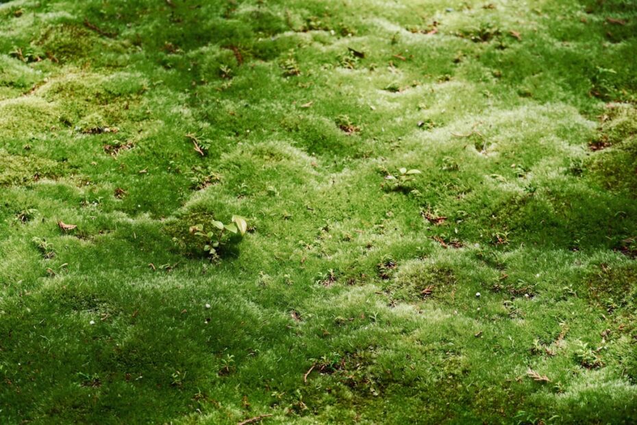 Pharmacist preparing customized liquid benzodiazepine medication with graduated measuring tools for precise tapering doses