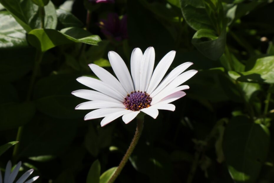 Person holding pill bottle looking concerned as calendar pages flip by, illustrating diminishing benzodiazepine effectiven...