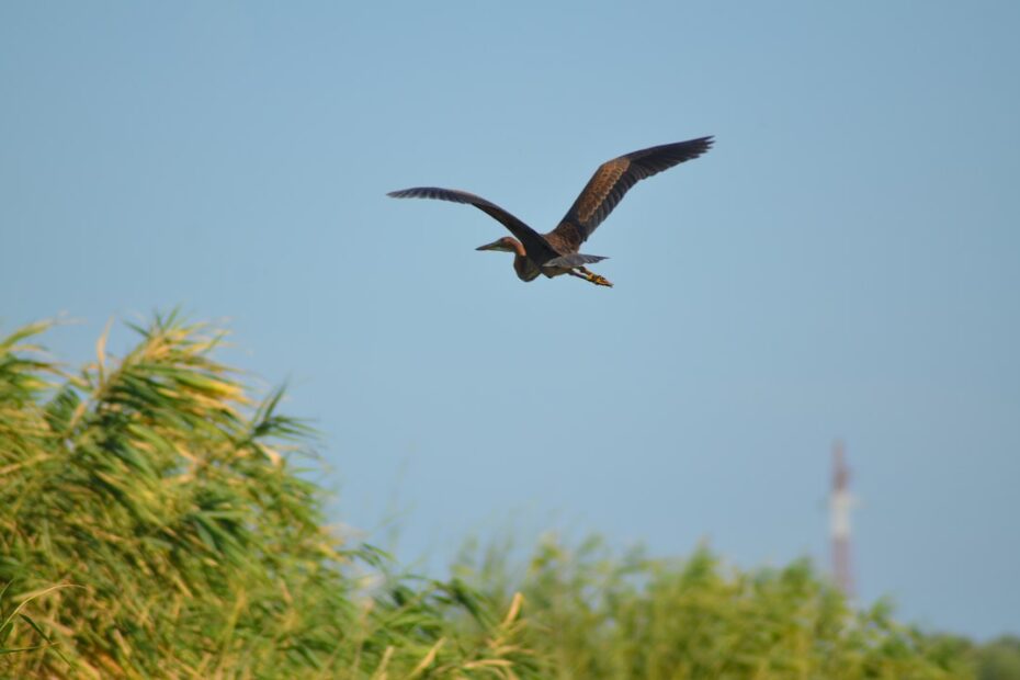 Dropper bottle dispensing liquid benzodiazepine suspension into measuring cup for precise micro-tapering dose reduction