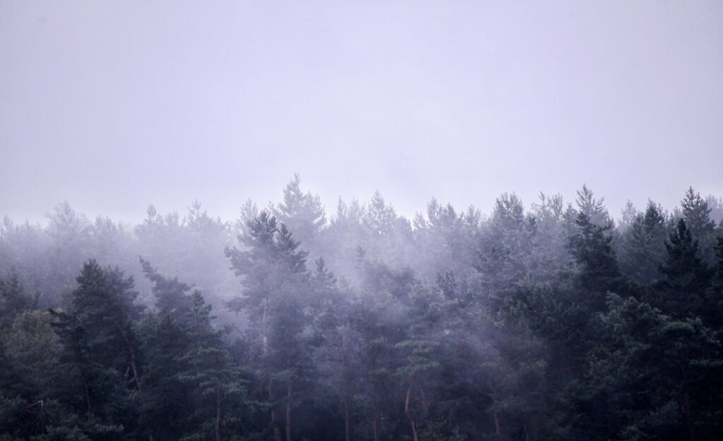 Brain wave patterns comparing normal sleep cycles with benzodiazepine-affected sleep stages showing disrupted REM and deep...