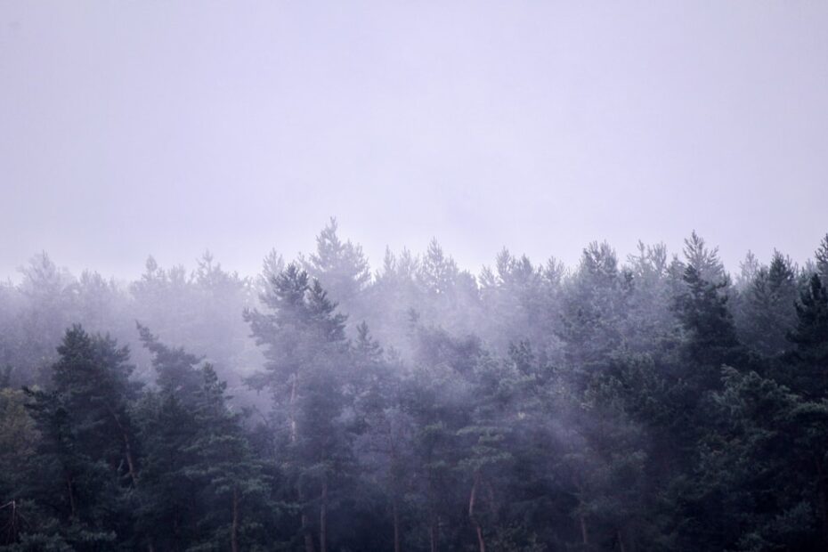 Brain wave patterns comparing normal sleep cycles with benzodiazepine-affected sleep stages showing disrupted REM and deep...