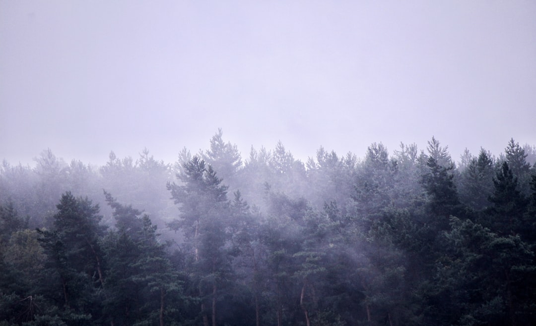 Brain wave patterns comparing normal sleep cycles with benzodiazepine-affected sleep stages showing disrupted REM and deep...